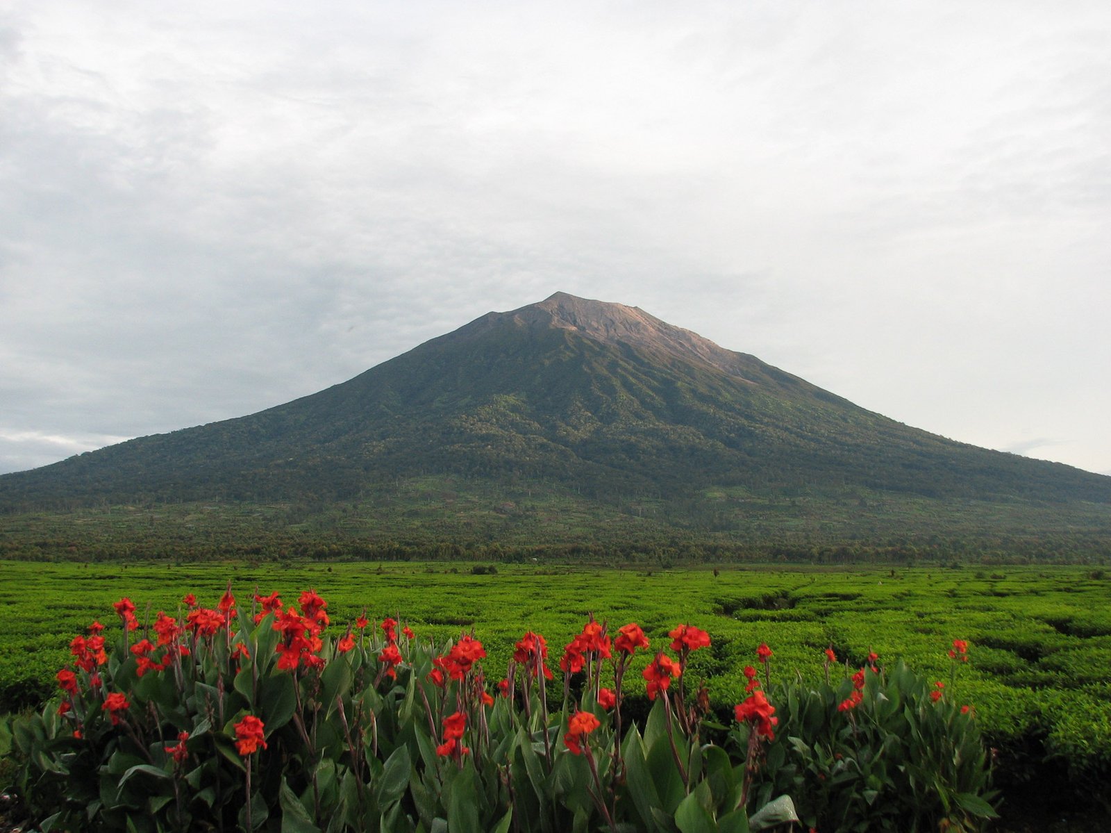 Kerinci